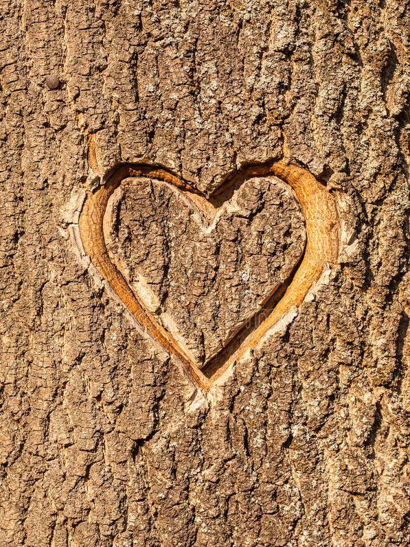 Heart On a Tree